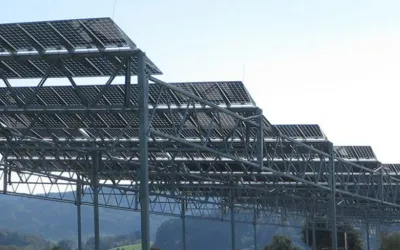 Agrofotovoltaica: Inovație și Durabilitate sub același Soare