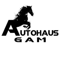 AUTOHAUS GAM SRL