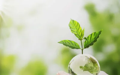 De la deșeu la materie primă. Cum face Expert Recycling managementul și valorificarea deșeurilor