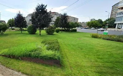 Orădenii pot încheia acorduri de colaborare pentru amenajarea  și întreținerea unor spații verzi