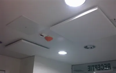 Panou radiant infrarosu 700W pentru 12mp