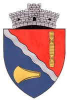 PRIMĂRIA PIANU