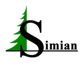 SIMIAN SRL