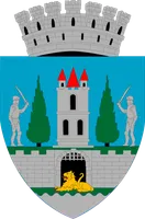 PRIMĂRIA SATU MARE