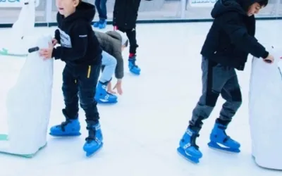 Targul de Craciun Campulung Muscel a ales patinoarul ecologic