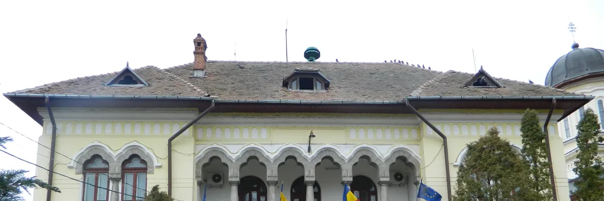 PRIMĂRIA CĂLIMĂNEŞTI