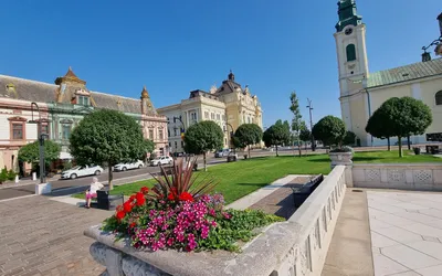 Piața Unirii a primit o nouă înfățișare – sistem nou de irigare,  peste 2000 mp de peluză