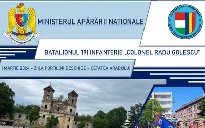 Consiliul Județean intervine pentru salvarea Cetății Șoimoș