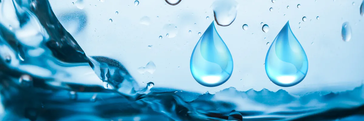 ASOCIAȚIA ROMÂNĂ A APEI