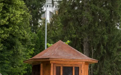 Biblioteca stradală