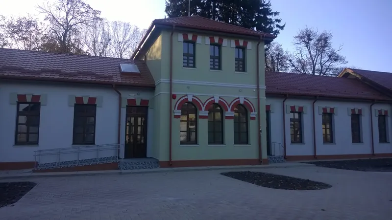 Viziune de Primar : Răileanu Vasilică Cătălin , primarul comunei Dămienești, județul Bacău