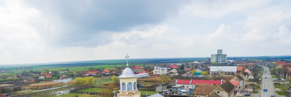 PRIMĂRIA CĂRPINIŞ