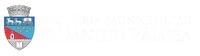 PRIMĂRIA RÂMNICU VÂLCEA