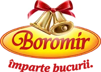 BOROMIR IND SRL