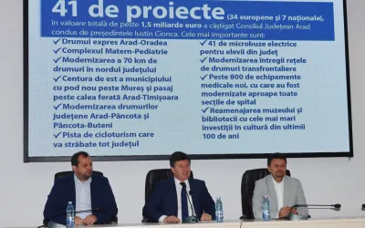Proiectele Aradului, vizibile în format electronic