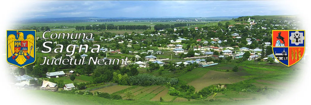 PRIMĂRIA SAGNA
