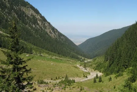 PRIMĂRIA VAŢA DE JOS