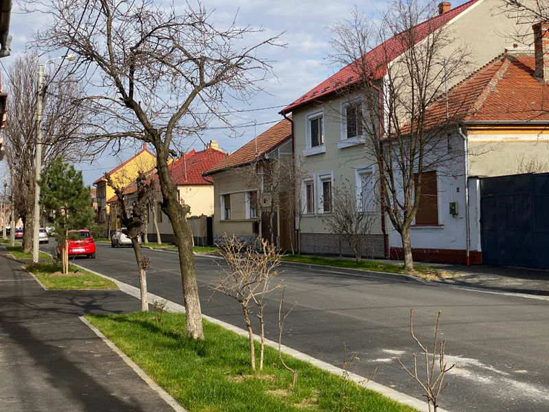 Peste 400 de arbori vor fi plantați în următoarele două săptămâni  în Oradea