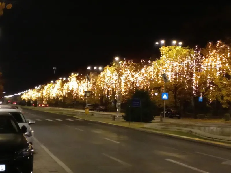 Montare instalații iluminat festiv de sărbători