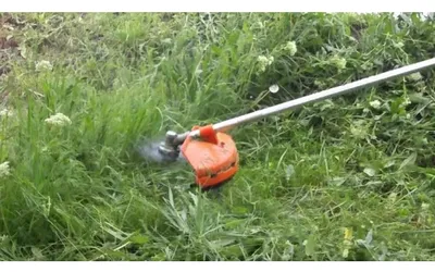 Orădenii au obligația să își întrețină lunar spațiile verzi. În caz contrar, Poliția Locală Oradea va aplica sancțiuni