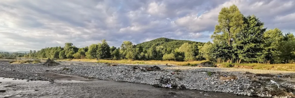 PRIMĂRIA VLĂDEŞTI