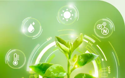 Studiu de caz: RDF își digitalizează activitatea cu ELIAN Solutions și trece la agricultura de precizie