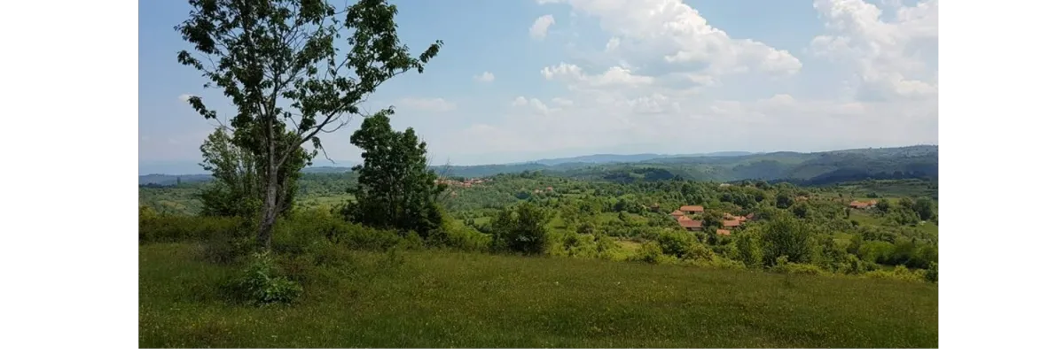 PRIMĂRIA LELESE