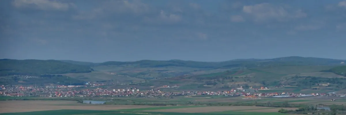 PRIMĂRIA SÂNGEORGIU DE MUREŞ