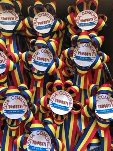 Cocarde tricolor