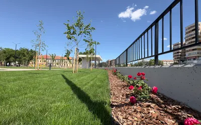 Piațeta pietonală din zona pasajelor din Centrul Civic prinde culoare: 127 de arbori, 520 de plante perene, 400 de trandafiri