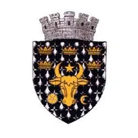 PRIMĂRIA RĂDĂUŢI