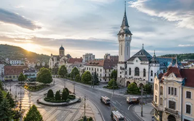 Municipiul Târgu Mureș respinge solicitările Sylevy Cleaning și garantează continuitatea serviciului de salubrizare