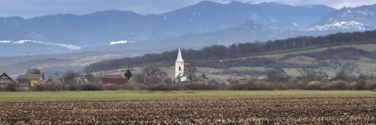 PRIMĂRIA CETATE