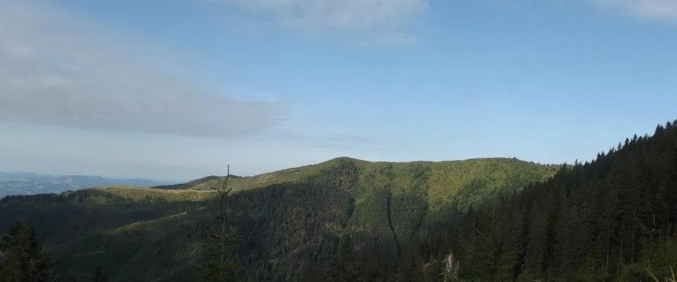 PRIMĂRIA ZAGRA