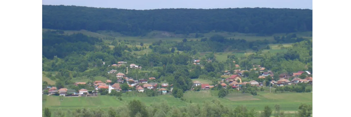 PRIMĂRIA ŞIRINEASA