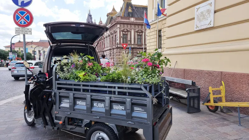 Oradea in Bloom – compoziții florale și ghivece cu flori  suspendate în zona centrală