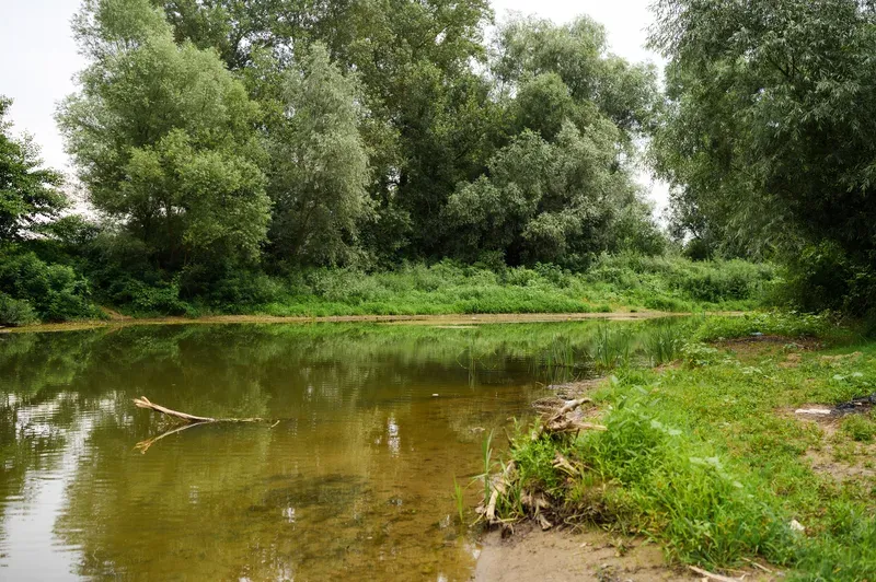 Consiliul Județean Maramureș amenajează o traversare provizorie peste râul Lăpuș între Cătălina și Mocira și accelerează lucrările pe DJ 182B
