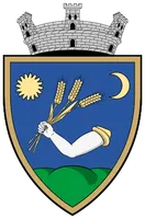 PRIMĂRIA VALEA LUI MIHAI