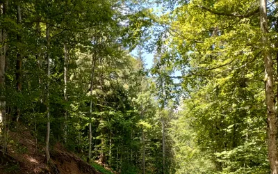 Se toarnă stratul de uzură între Coada Lacului și Stâna de Vale