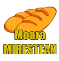 MOARA MIREŞTEAN SRL