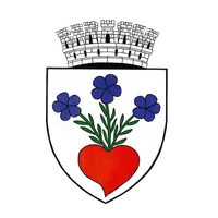 PRIMĂRIA MIERCUREA CIUC