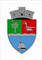 PRIMĂRIA DRĂGĂNEŞTI