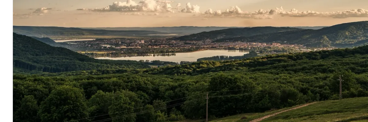 PRIMĂRIA COMUNEI RUNCU