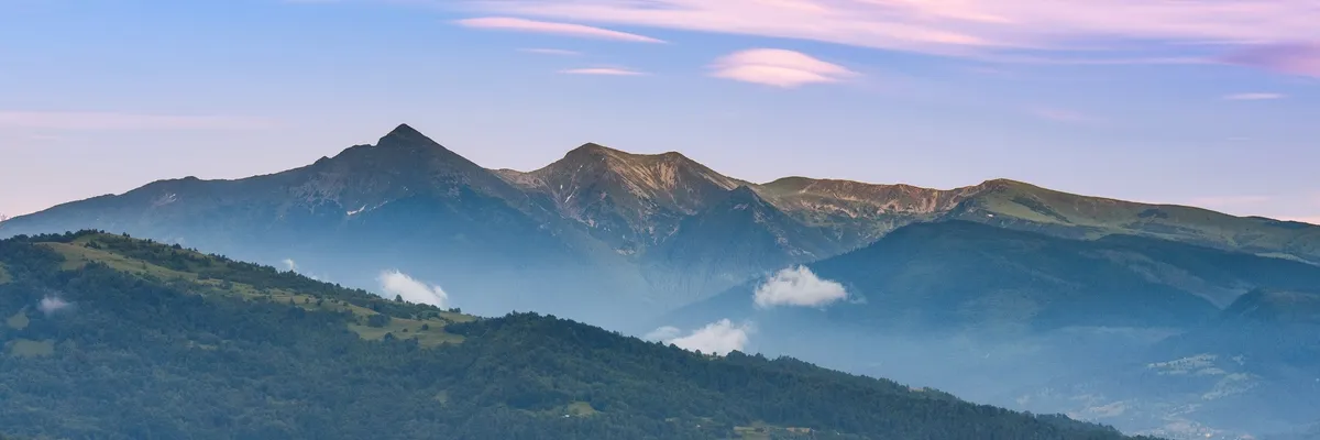 PRIMĂRIA VIŞEU DE SUS