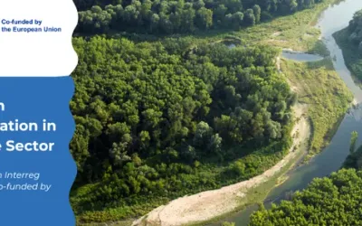 Consiliul Județean Brașov: încheierea proiectului transnațional Caring Communities (DRP0200240)