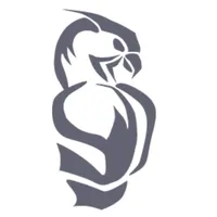 Saker Soft SRL