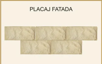 ELEMENTE PLACAJ FATADA