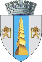 PRIMĂRIA TÂRGU JIU