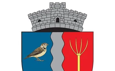 PRIMĂRIA VLĂSINEŞTI