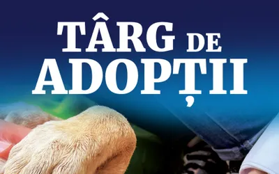 Târg de adopții de căței la Arena Națională. 50 de căței sunt propuși pentru adopție